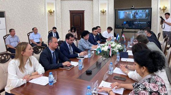 Ҳайати Тоҷикистон ҷиҳати роҳандозӣ намудани шаклҳои алтернативии фарогирии кӯдакон бо таълиму тарбияи томактабӣ ба Узбекистон сафар намуд