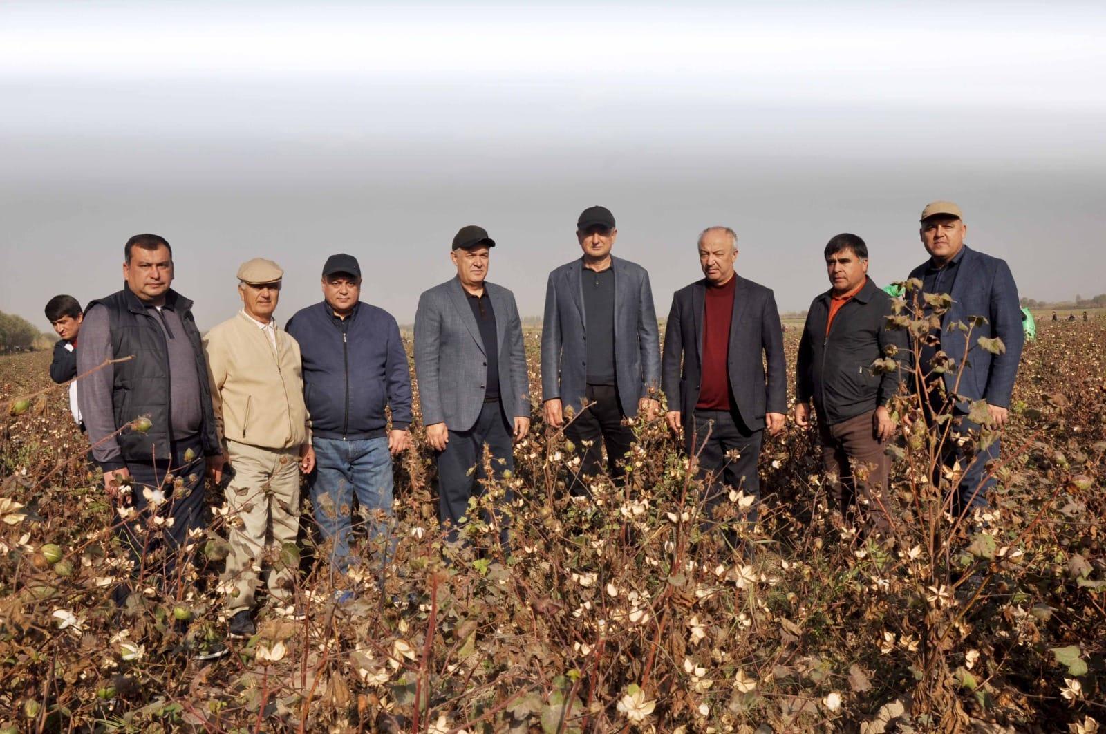 КӮМАКИ КОРМАНДОНИ СОҲАИ МАОРИФ ДАР ҶАМЪОВАРИИ ТИЛЛОИ САФЕД